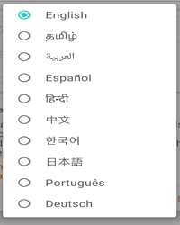 Multi-Language Support Screenshot